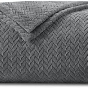 INFIIXSO Throw Blanket for Couch, Super Soft Fleece Blanket with Leaves Pattern Design, Versatile Lightweight Fuzzy Blanket for Bed, Sofa and Travel All Season Use(50x60 Inches, Grey)